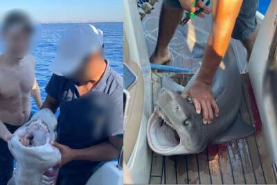 Фотосессия с мертвой акулой в Ларнаке вызвала бурю хейта в соцсетях - cyprusbutterfly.com.cy