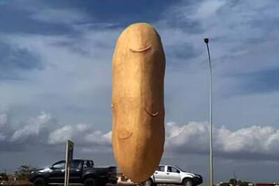 На Кипре установили статую картофеля в форме пениса - lenta.ru - Кипр - деревня Ксилофаг