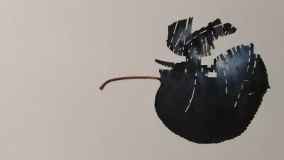 Необычная выставка в Никосии - rumedia24.com - Никосия