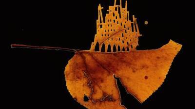 Резьба по листьям: необычная выставка в Никосии - cyplive.com - Никосия