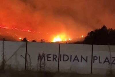 В результате умышленного поджога в Лимассоле выгорело три гектара земли - cyprusbutterfly.com.cy