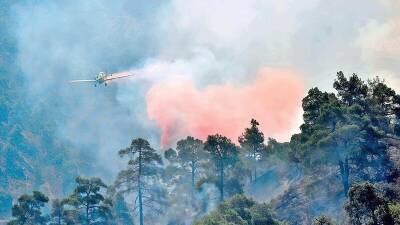 Андреас Кеттис - Власти Кипра борются с шестью лесными пожарами на западе острова - cyplive.com - Кипр