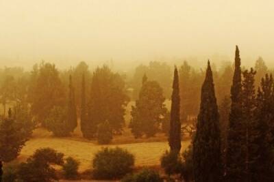 На Кипре ожидается падение температуры и пылевые бури - cyprusbutterfly.com.cy - Кипр