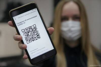 У россиян из-за введения QR-кодов в транспорте пропал интерес к авиабилетам - cyprusbutterfly.com.cy - Россия