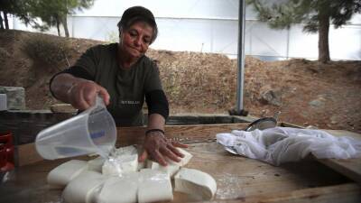 Продаётся халуми: сыр скопился на складах Кипра - ru.euronews.com - Кипр - Россия - Белоруссия - Англия - Евросоюз - Швеция - Германия
