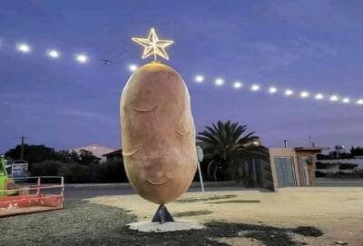 «Большая картошка» из Ксилофагу стала новогодней елкой - cyprusnews.online - деревня Ксилофаг
