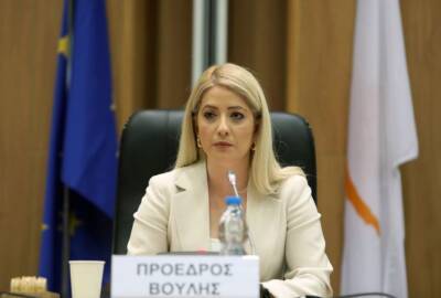 Аннита Димитриу - Глава парламента Кипра предложила карать убийц женщин пожизненным заключением - evropakipr.com - Кипр