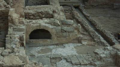 В гробницах на Кипре найдены золотые украшения эпохи Нефертити - mir24.tv - Кипр - Египет