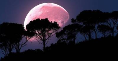 В небе над Кипром — «цветочная луна» - vkcyprus.com - Кипр