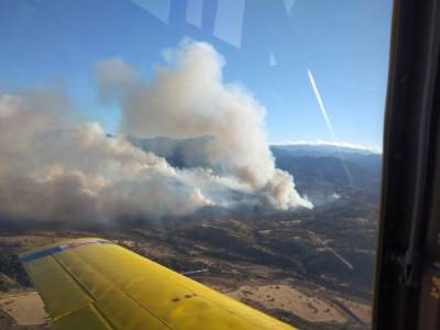 На Кипре вспыхнул масштабный лесной пожар - unn.com.ua - Кипр - Канада - Украина - Киев - Колумбия