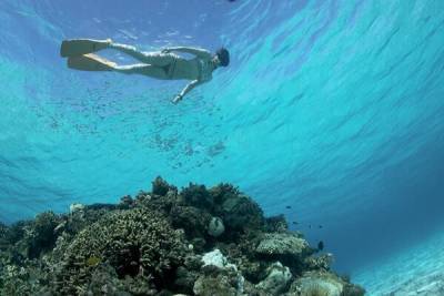 Новый риф для дайвинга и сноркелинга в Ороклини назвали в честь морской богини - cyprusbutterfly.com.cy
