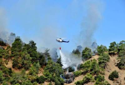 Никос Нурис - Лесной пожар на Кипре, бушующий второй день подряд, унес жизни четырех человек - unn.com.ua - Кипр - Египет - Украина - Лимассол - Киев
