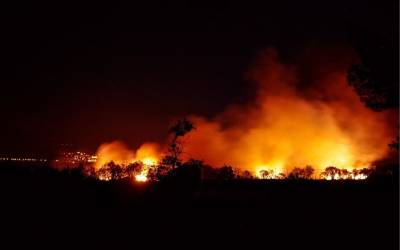 Масштабный пожар на Кипре: ЕС отреагировал и мира - cursorinfo.co.il - Кипр - Египет - Евросоюз - Лимассол - Италия - Греция