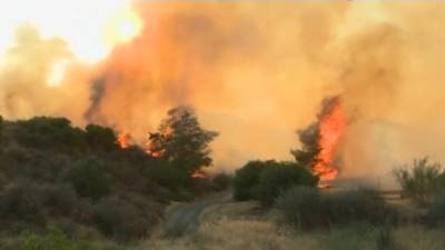 Страшные лесные пожары на Кипре: 4 человека погибли, жителей эвакуируют - vesti.ru - Кипр - Россия