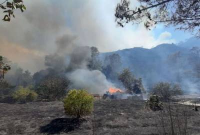 В пожаре в деревне Оду погибли четыре человека - cyprusnews.online - Кипр - Египет - деревня Ода