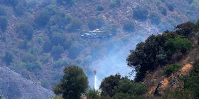 Израиль помогает Кипру справиться с сильнейшим лесным пожаром в истории - detaly.co.il - Кипр - Израиль