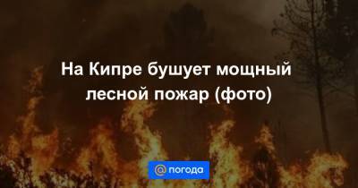 На Кипре бушует мощный лесной пожар (фото) - news.mail.ru - Кипр - Израиль - Италия - Греция