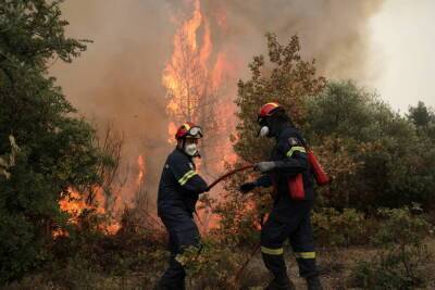 Департамент лесного хозяйства предупреждает об опасности пожара - kiprinform.com - Кипр