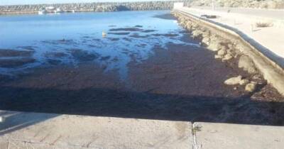 Костас Кадис - В чем причина? Море Като Пиргос оказывается не загрязнено, несмотря на неприятный запах - rumedia24.com