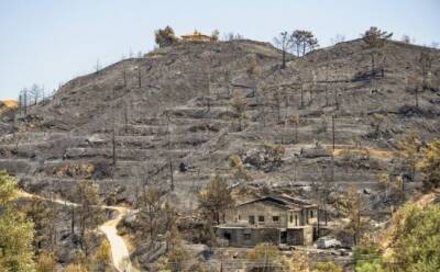 Земли, пострадавшие от пожаров, защитят дополнительно - vkcyprus.com - Кипр