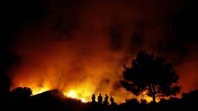 Андреас Кеттис - Крупный природный пожар разгорелся на западе Кипра - russian.rt.com - Кипр - Франция