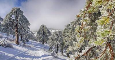 Кипр борется со снегом, дождем и заморозками - rumedia24.com - Кипр - Никосия