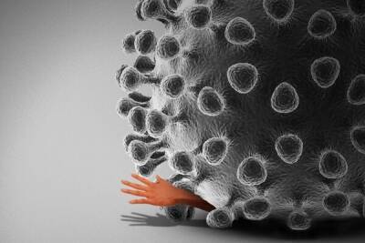 Ученые выяснили, что коронавирус может запускать самоатакующие антитела - cyprusbutterfly.com.cy - Япония
