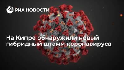 Кипр - СМИ: кипрские ученые обнаружили новый гибридный штамм коронавируса - "дельтакрон" - ria.ru - Кипр