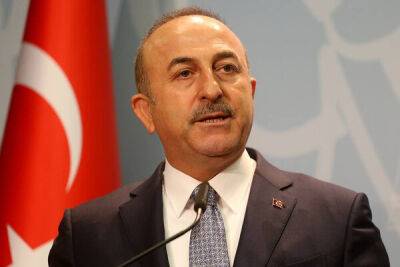 Турция даст "конкретный" ответ на отмену Вашингтоном эмбарго на поставки оружия Кипру - cyprusbutterfly.com.cy - Кипр - Турция - Сша - Анкара - Вашингтон
