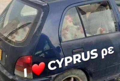 Приключения водителей на Кипре: когда на пути попадаются знаки, столбы и тележки - cyprusnews.online - Кипр - county Love