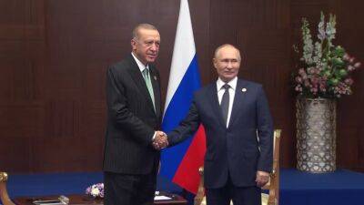 Владимир Путин - Тайип Эрдоган - Путин рекламирует газовый хаб Турции, в то время как Европа стремится сократить потребление - kiprinform.com - Россия - Москва - Турция - Украина - Евросоюз - Германия