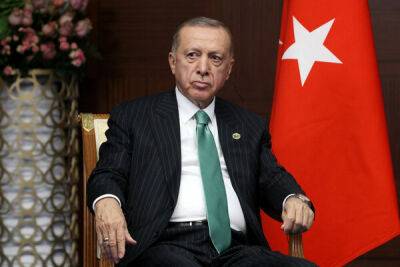 Тайип Эрдоган - Эрдоган призвал мусульман к единству перед вызовом Кипра - cyprusbutterfly.com.cy - Кипр - Турция - Франция - Сирия