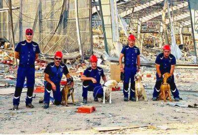 4 ноября — праздник у собак-спасателей пожарного департамента Кипра. А также у всех зверей мира - evropakipr.com - Кипр