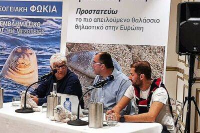 В морских водах Кипра обитает 19 средиземноморских тюленей-монахов - cyprusbutterfly.com.cy - Кипр - Греция