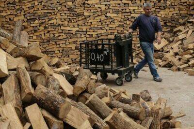 Департамент лесного хозяйства напомнил о правилах продажи дров на Кипре - cyprusbutterfly.com.cy - Кипр