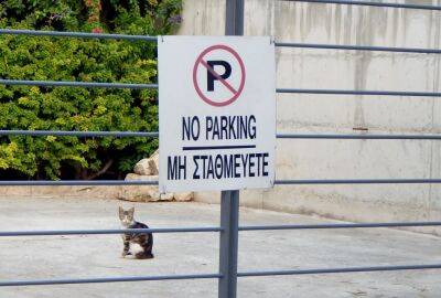 Спор из-за места парковки в Пафосе завершился переломом носа - evropakipr.com