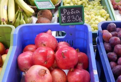 В феврале на Кипре выросли цены на овощи, рыбу и газ в баллонах - cyprusnews.online - Кипр
