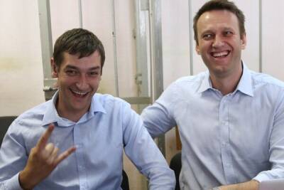 Условно осужденный брат Навального скрывается на Кипре - cyprusbutterfly.com.cy - Кипр - Россия - Москва
