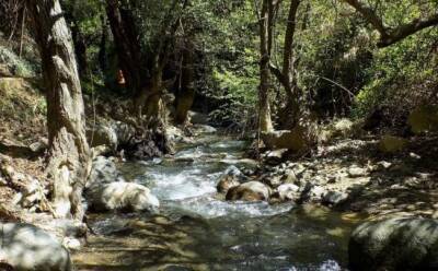 Кипрские реки – одни из самых чистых в Европе - vkcyprus.com - Кипр - Англия