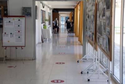 Минобразования Кипра — учителям: используйте протокол Test to stay! - russiancyprus.news - Кипр