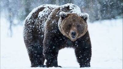 Джон Байден - Не будите спящего медведя - cyplive.com - Россия - Москва - Сша - Украина - Вашингтон - Китай