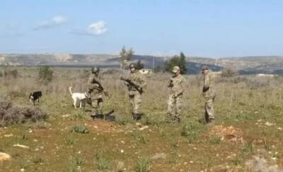 Алим Сиддик - Турецкие военные против фермера: инцидент в буферной зоне - vkcyprus.com - Кипр - Турция