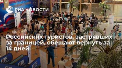 АТОР: за рубежом – до 25 тысяч российских туристов, их вывезут в ближайшие две недели - ria.ru - Кипр - Россия - Москва - Египет - Эмираты - Мальдивы - Болгария - Таиланд