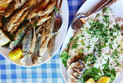 30 апреля в Полисе пройдет VII рыбный фестиваль - cyprusnews.online - Кипр