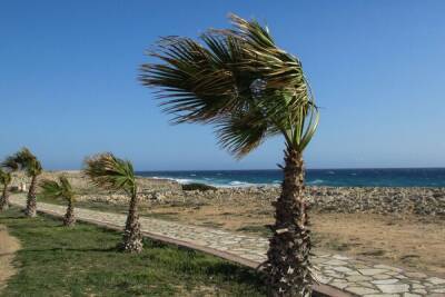 В ближайшее время на Кипре будет преобладать ветренная и пыльная погода - cyprusbutterfly.com.cy - Кипр