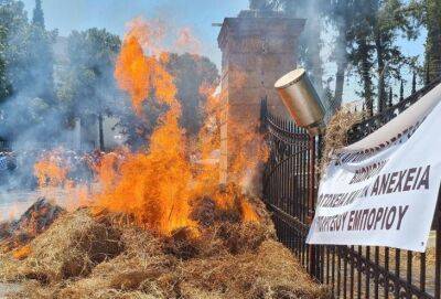 Кипрские фермеры разлили козье молоко и подожгли сено возле президентского дворца - cyprusnews.online - Кипр - Никосия - Евросоюз