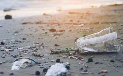 Пляжи Кипра очистят от мусора - vkcyprus.com - Кипр