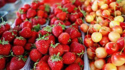 Арбуз, клубника, черешня... Красные плоды — кладезь антиоксидантов! Но ешьте в меру - cyplive.com