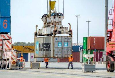 49 кипрских портовых грузчиков получили 30,6 млн. евро компенсации за аннулирование лицензий - cyprusnews.online - Кипр - Лимассол