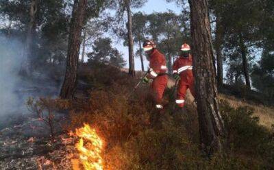Девять из десяти пожаров – результат человеческого фактора - vkcyprus.com - Турция